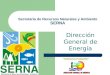 Dirección General de Energía Secretaría de Recursos Naturales y Ambiente SERNA