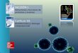 SECCIÓN I. Estructuras y funciones de proteínas y enzimas C APÍTULO 10. Bioinformática y biología computacional