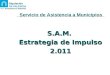 Servicio de Asistencia a Municipios S.A.M. Estrategia de Impulso 2.011