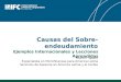 Causas del Sobre-endeudamiento Martin Spahr Expecialista en Microfinanzas para America Latina Servicios de Asesoria en America Latina y el Caribe Ejemplos
