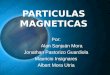 PARTICULAS MAGNETICAS PRESENTACION (1)