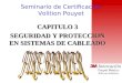 Seminario de Certificación Volition Pouyet CAPITULO 3 SEGURIDAD Y PROTECCION EN SISTEMAS DE CABLEADO