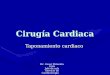 Cirugía Cardiaca Taponamiento cardiaco Dr. Cesar Pimienta Irala Jefe de sala Servicio de Cardiocirugia