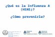 ¿Qué es la Influenza A (H1N1)? ¿Cómo prevenirla? Universidad Nacional de San Juan Secretaria de Obras y Servicios Comité de Higiene y Seguridad