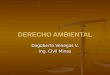DERECHO AMBIENTAL Dagoberto Venegas V. Ing. Civil Minas