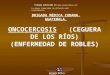 ONCOCERCOSIS (CEGUERA DE LOS RÍOS) (ENFERMEDAD DE ROBLES) BRIGADA MÉDICA CUBANA. GUATEMALA. Brigada Médica Cubana Trabajo publicado en 