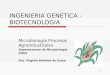 1 INGENIERIA GENETICA - BIOTECNOLOGIA Microbiología Procesos Agroindustriales Departamento de Microbiología FMVZ Dra. Virginia Bolaños de Corzo