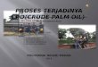 CPO(Crude Palm Oil) Proces