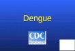 Dengue. Epidemiología La diversidad antigénica del virus del dengue es importante, ya que la falta a largo plazo de la inmunidad cruzada entre los cuatro