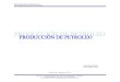PRODUCCION DE PETROLEO.pdf