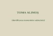 VI, Toma Alimos, Momentele Subiectului