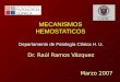 MECANISMOS HEMOSTATICOS Departamento de Patología Clínica H. U. Dr. Raúl Ramos Vázquez Marzo 2007