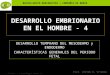BACHILLERATO MARIANISTAS + COMPAÑÍA DE MARÍA Prof. VÍCTOR M. VITORIA Anatomía y Fisiología Humanas - HISTOLOGÍA DESARROLLO EMBRIONARIO EN EL HOMBRE - 4