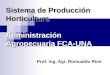 Sistema de Producción Horticultura Administración Agropecuaria FCA-UNA Prof. Ing. Agr. Romualdo Ríos