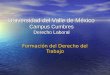 Universidad del Valle de México Campus Cumbres Derecho Laboral Formación del Derecho del Trabajo