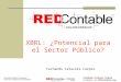 Fernando Catacora Carpio Fundador de REDContable.com Comunidad Virtual de Contadores, creada por Contadores para Contadores XBRL: ¿Potencial para el Sector