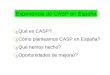 Experiencia de CASP en España ¿Qué es CASP? ¿Cómo planteamos CASP en España? ¿Qué hemos hecho? ¿Oportunidades de mejorar?