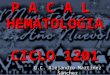 P A C A L HEMATOLOGIA CICLO 1201 Q.C. Alejandro Martínez Sánchez
