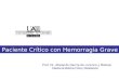Prof. Dr. Abelardo García de Lorenzo y Mateos Cátedra de Medicina Crítica y Metabolismo Paciente Crítico con Hemorragia Grave