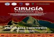 Programa Preliminar Congresos 2012 Perú