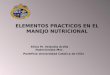 ELEMENTOS PRACTICOS EN EL MANEJO NUTRICIONAL Silvia M. Velandia Ardila Nutricionista Msc. Pontificia Universidad Catolica de Chile