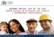 SEGURO SOCIAL LEY N° 16.744 CONTRA RIESGOS DE ACCIDENTES DEL TRABAJO Y ENFERMEDADES PROFESIONALES Sra. Lucy Marabolí Superintendenta (S) de Seguridad Social