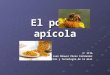 El polen apícola 3º ITIA José Manuel Pérez Fernández Producción y tecnología de la miel