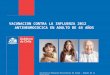 VACUNACION CONTRA LA INFLUENZA 2012 ANTINEUMOCOCICA EN ADULTO DE 65 AÑOS Secretaria Regional Ministerial de Salud – Región de La Araucanía