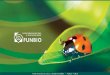 Fundo Brasileiro para a Biodiversidade - Funbio © 2012