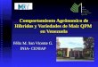 Comportamiento Agrónomico de Híbridos y Variedades de Maíz QPM en Venezuela Félix M. San Vicente G. INIA- CENIAP INIA Instituto Nacional de Investigaciones