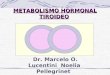 METABOLISMO HORMONAL TIROIDEO Dr. Marcelo O. Lucentini Noelia Pellegrinet