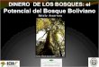 DINERO DE LOS BOSQUES: el Potencial del Bosque Boliviano Nataly Ascarrunz Fuente: Alfredo Alarcón (IBIF)
