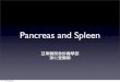 Spleen and Pancrease