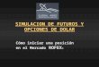 SIMULACION DE FUTUROS Y OPCIONES DE DOLAR Cómo iniciar una posición en el Mercado ROFEX ®