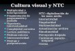 Cultura visual y NTC Multiplicidad y heterogeneidad Multiplicidad y heterogeneidad Fragmentación de programación y pantalla Fragmentación de programación
