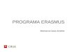 PROGRAMA ERASMUS Montserrat Casas Ametller. ALGUNAS REFLEXIONES SOBRE EL PROGRAMA ERASMUS Competencias que desarrolla la movilidad Generales (interculturales