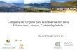 Campaña del Orgullo para la conservación de la Microcuenca Jorupe, Cantón Espíndola Maritza Azanza R