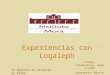 Experiencias con Logaleph Ixtapa, Zihuatanejo, mayo 2-3/05 Guerrerro, México IX Reunión de Usuarios de Aleph