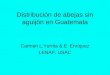 Distribución de abejas sin aguijón en Guatemala Carmen L.Yurrita & E. Enríquez LENAP, USAC