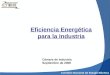 Eficiencia Energética para la Industria Cámara de Industria Septiembre de 2008