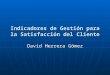 Indicadores de Gestión para la Satisfacción del Cliente David Herrera Gómez