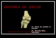 6680437 Anatomia Do Joelho
