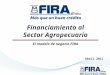 Financiamiento al Sector Agropecuario El modelo de negocio FIRA Abril 2011