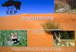 Environment Globalization of Species Conservation And Desertification Prevention By: Emily Pope Mein Name ist Emily Pope. Heute werde ich auf etwa zwei