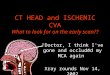 CT HEAD and ISCHEMIC CVA What to look for on the early scan?? Doctor, I think I've gone and occluded my MCA again Xray rounds Nov 14, 2002 Rob Hall PGY3