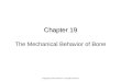 Chapter 19 Chapter 19 The Mechanical Behavior of Bone Copyright © 2013 Elsevier Inc. All rights reserved