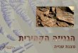 A vellum fragment being repaired d ברכה חקר הגניזה פרסום המסמכים שהתגלו בגניזת קהיר הביא למהפכה בחקר ההיסטוריה היהודית