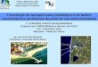 Toxicologie de nanoparticules métalliques à de faibles concentrations, pertinentes du point de vue environnemental CNRS, UMR EPOC 5805 Université de Bordeaux