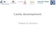 Physics Department Lancaster University Cavity development Rebecca Seviour