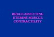 DRUGS AFFECTING UTERINE MUSCLE CONTRACTILITY. DRUGS PRODUCING UTERINE CONTRACTIONS( Oxytocic Drugs ) 1.OXYTOCIN Syntocinon 2.ERGOT ALKALOIDS Ergometrine